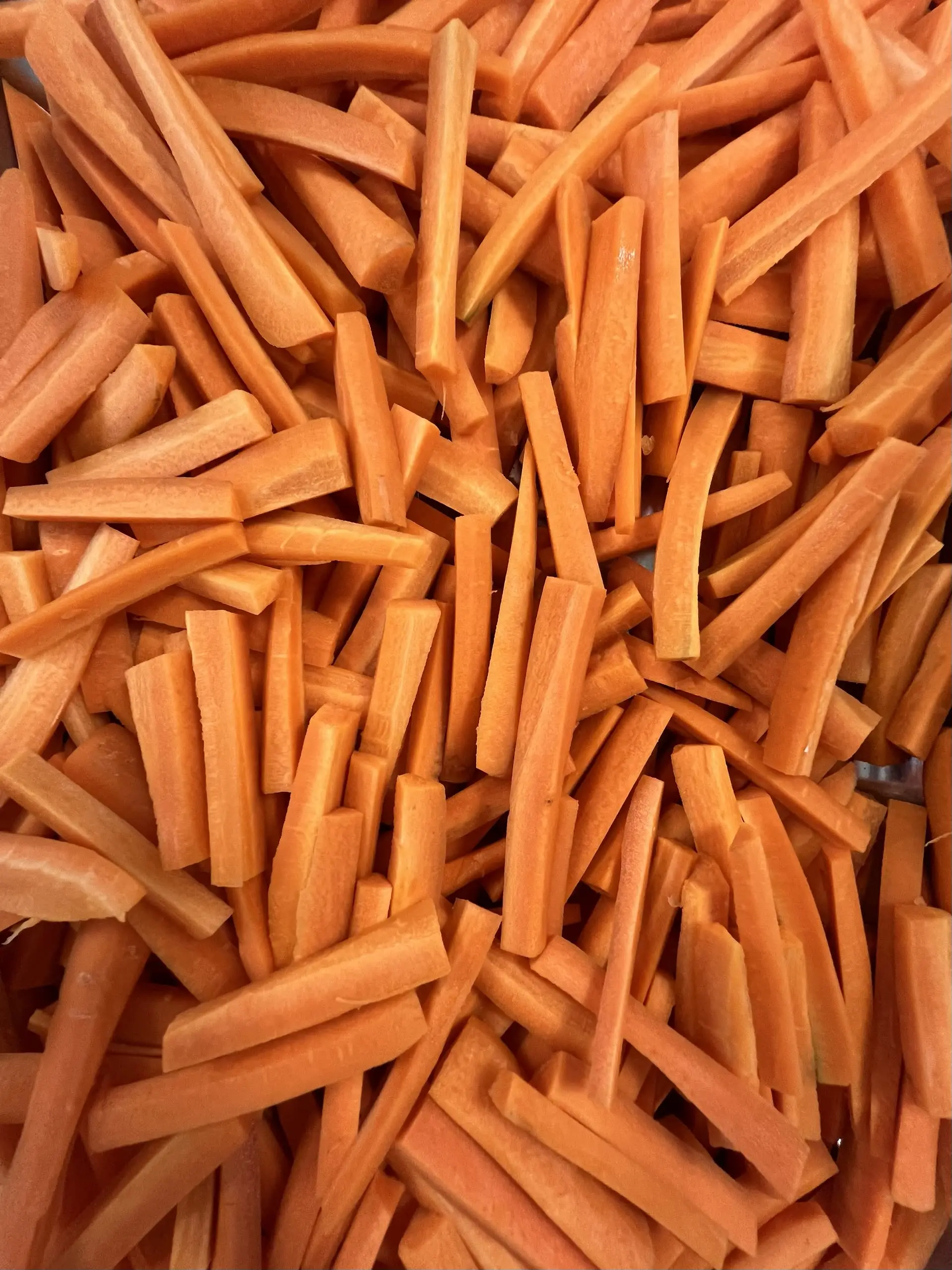 Préparation traiteur — bâtonnets de carottes mise en place